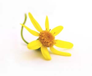 sȏǏ2iؓA֐߁AsɊ֌Wɂ݂Ȃǁj