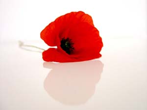 sȏǏ3iɂȂǁAɊ֘AǏj